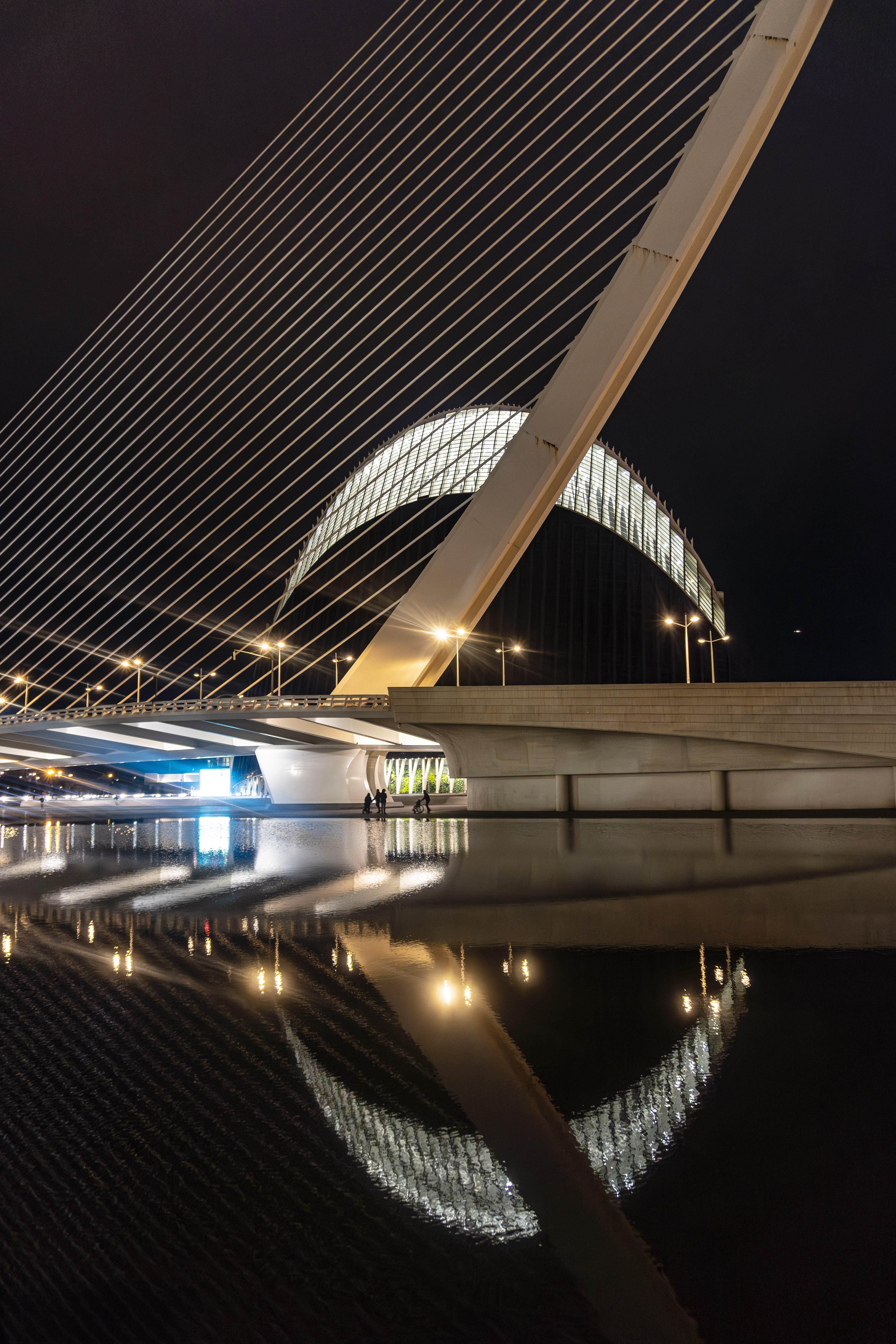 NOTURNA