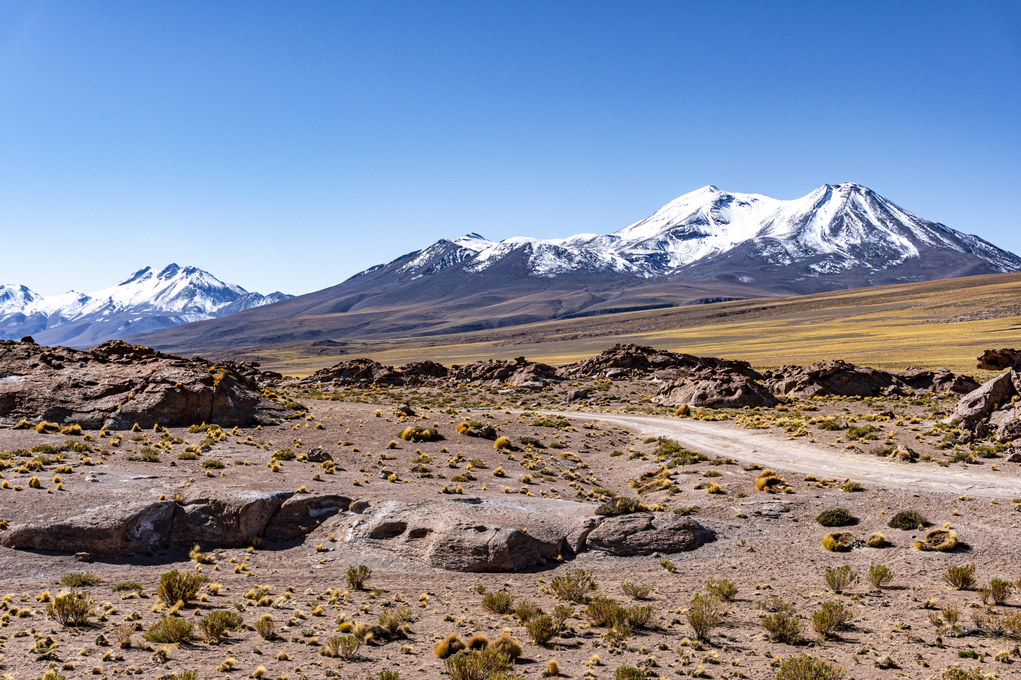 PICO DE NEVE